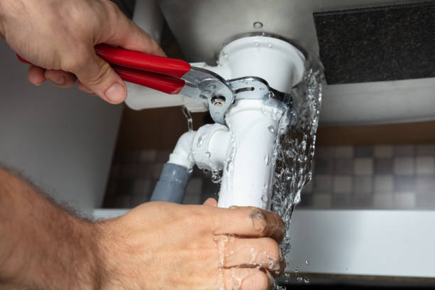 Best Water damage cleanup near me  in Dadeville, AL