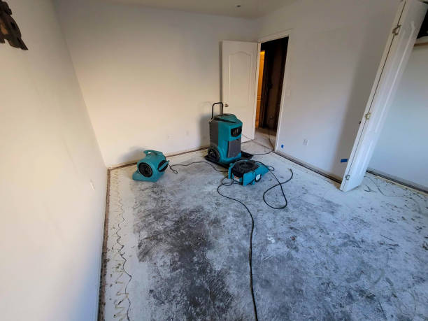 Best Flooded house restoration  in Dadeville, AL