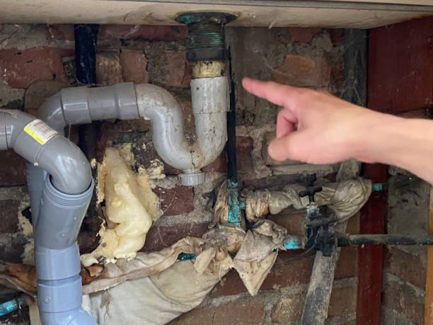 Professional Water damage restoration in Dadeville, AL