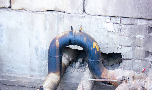 Best Water damage restoration process  in Dadeville, AL