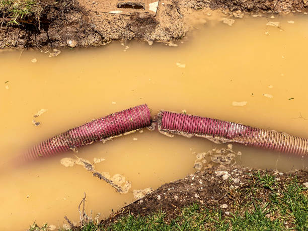 Best Water damage restoration near me  in Dadeville, AL
